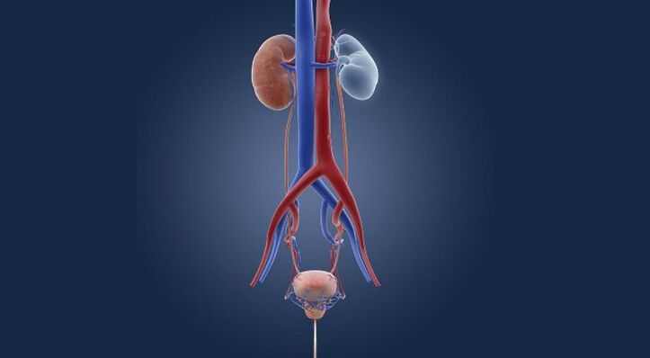 cystitis közösülés után